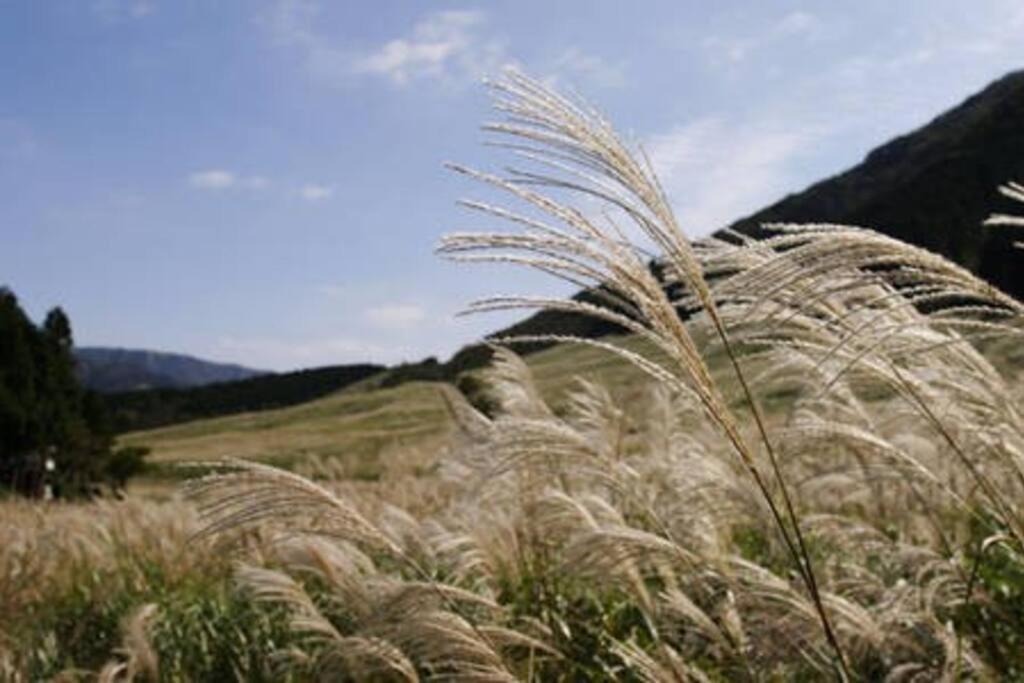 Ek House Hakone Shushinso 箱根修身荘 Villa ภายนอก รูปภาพ