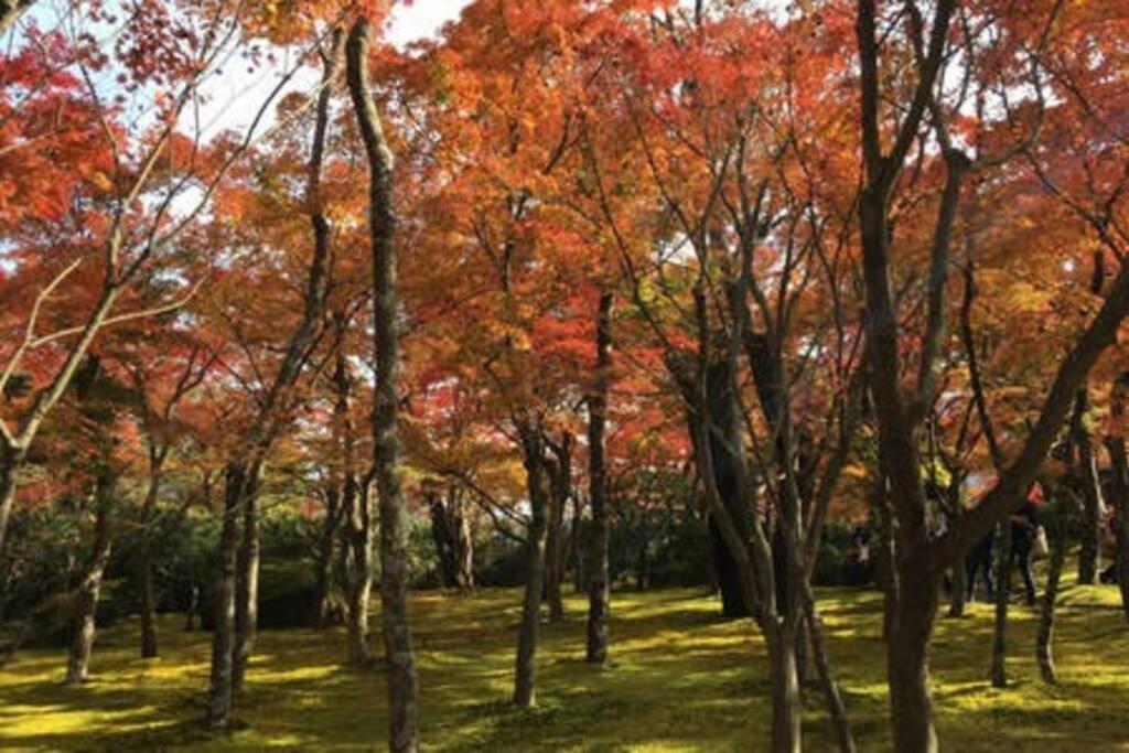 Ek House Hakone Shushinso 箱根修身荘 Villa ภายนอก รูปภาพ